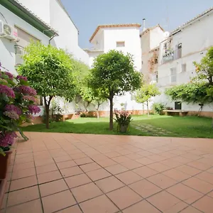 Centro Granada